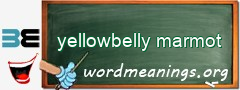 WordMeaning blackboard for yellowbelly marmot